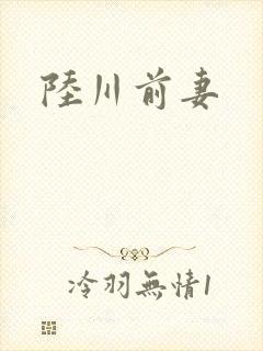 陆川前妻