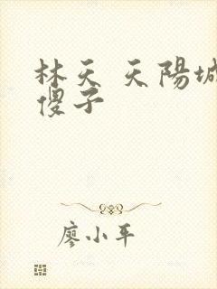 林天 天阳城 傻子