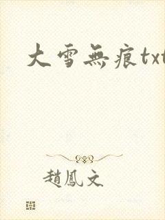 大雪无痕txt