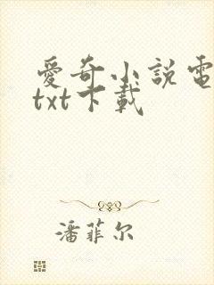爱奇小说电子书txt下载