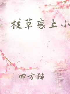 校草恋上小丫头