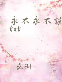 永不永不说再见txt