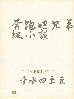 奔跑吧兄弟限制级小说