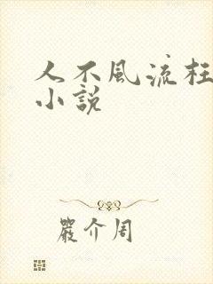 人不风流枉少年小说