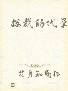 总裁的代孕女友