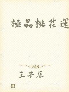 极品桃花运下载