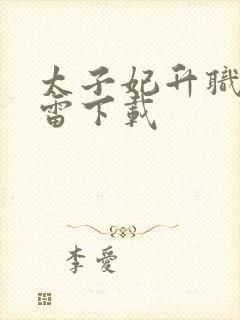 太子妃升职记迅雷下载