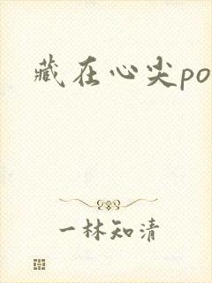 藏在心尖poH