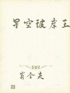 星空彼岸王轩