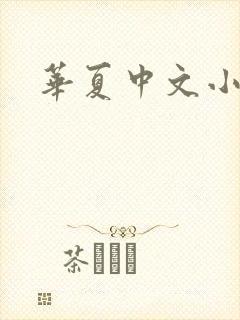 华夏中文小说网