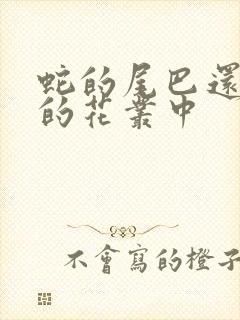 蛇的尾巴还在我的花丛中