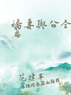 娇妻与公全集长篇