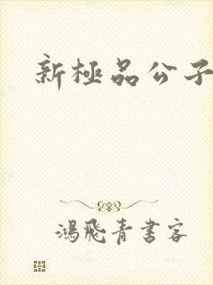 新极品公子