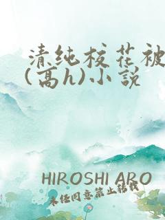 清纯校花被调教(高h)小说