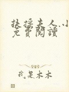 扶摇夫人.小说免费阅读