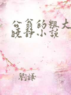 公翁的粗大放进晓静小说