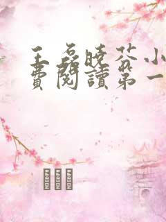 王磊晓芬小说免费阅读第一章