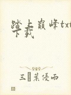 踏上巅峰txt下载