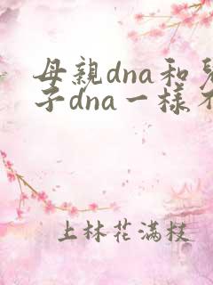 母亲dna和儿子dna一样不
