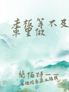 老板等不及了在车里做