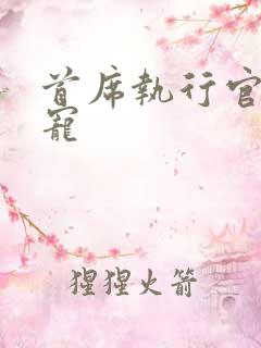 首席执行官的绝宠