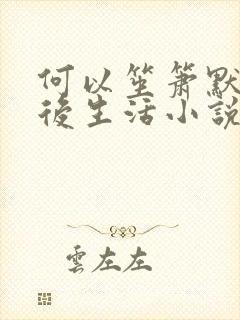 何以笙箫默之婚后生活小说