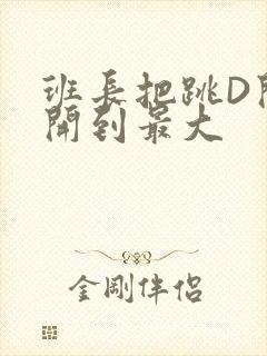 班长把跳D开关开到最大