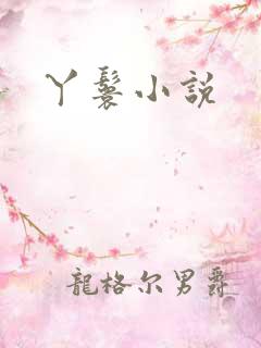 丫鬟小说