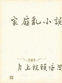 家庭乱小说