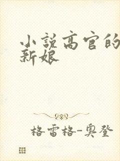 小说高官的暗夜新娘