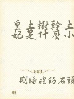 皇上树干上太子妃是什么小说