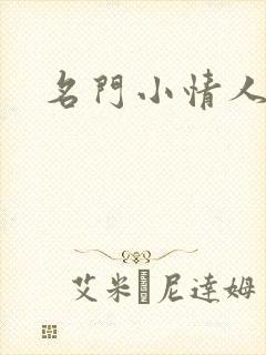 名门小情人
