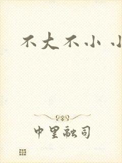 不大不小 小说