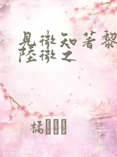 见微知著黎见卿陆微之