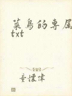 菜鸟的专属大神txt