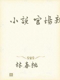 小说 官场新贵