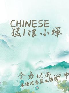 CHINESE猛1浪小辉