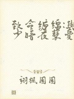 致命缠绵:与冷少暗夜孽爱