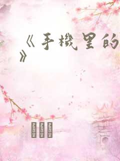 《手机里的秘密》