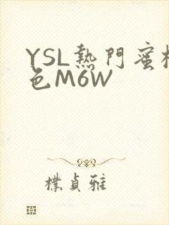 YSL热门蜜桃色M6W