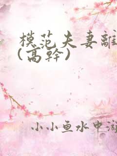 模范夫妻离婚了(高干)