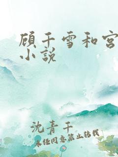 顾千雪和宫凌沨小说