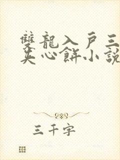 双龙入户三人行夹心饼小说