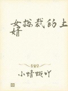 女总裁的上门女婿