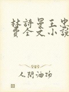 林诗曼王忠文免费全文小说的名称