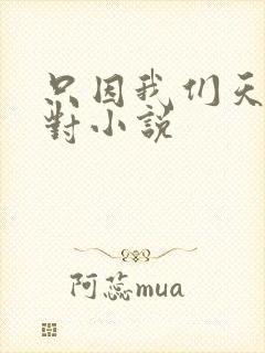 只因我们天生一对小说