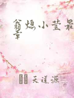 翁熄小莹最新节章