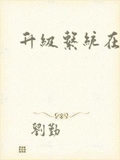 升级系统在斗破