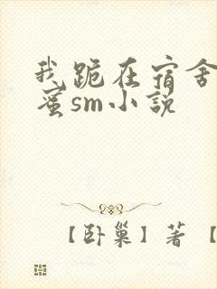 我跪在宿舍被闺蜜sm小说