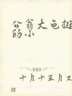 公翁大龟挺进我的小